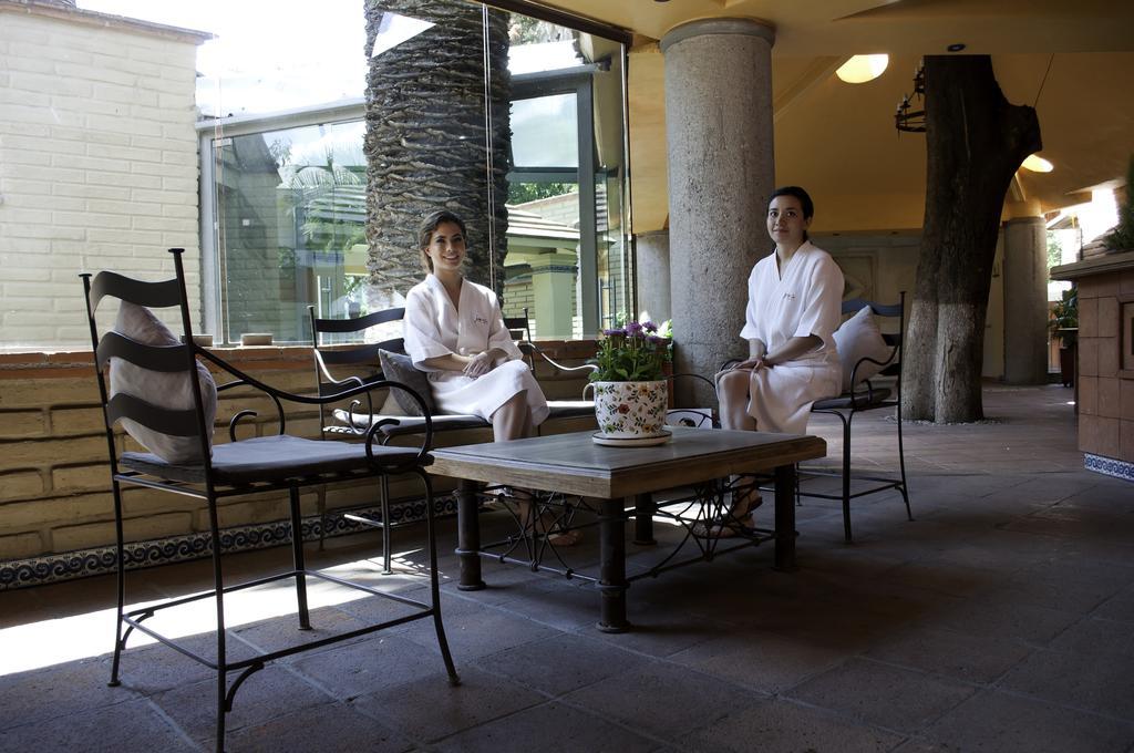 Hotel Olivos 4*