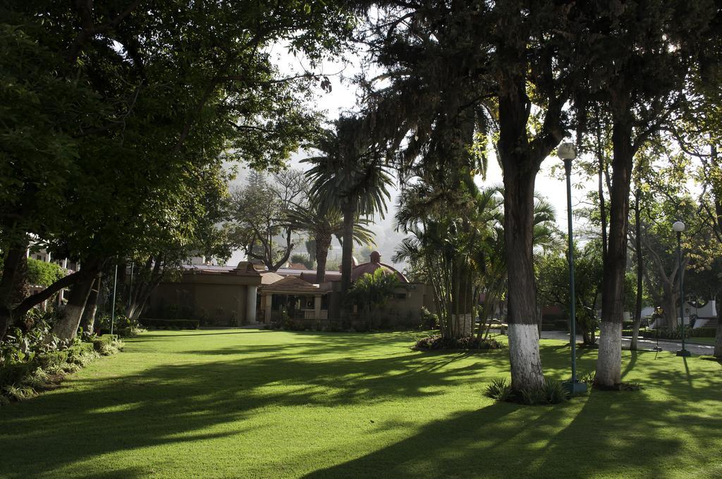 Olivos Hotel 4*