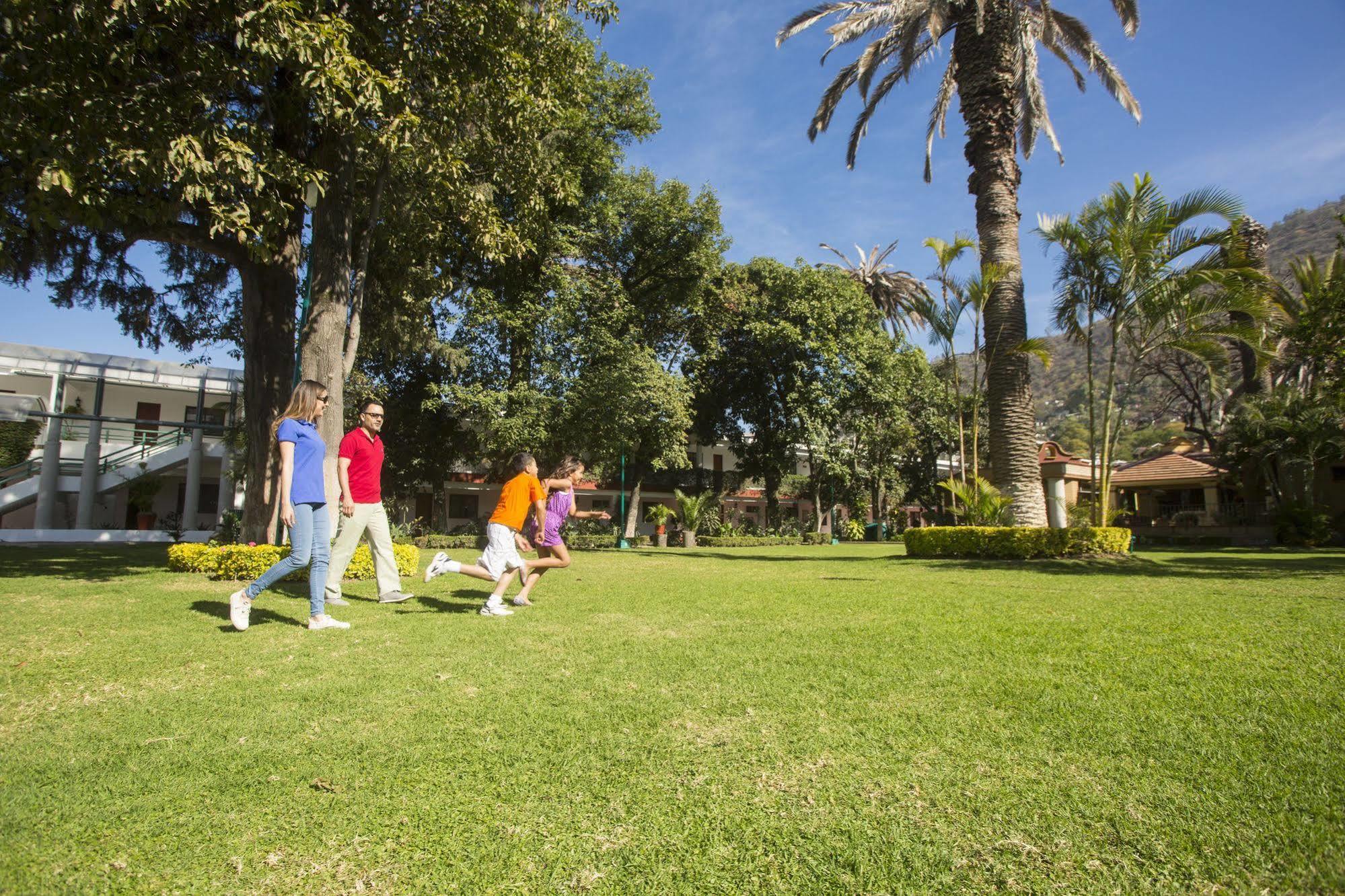 Olivos 4*